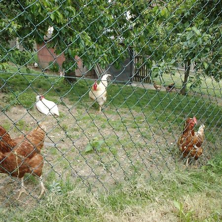Ferienhof Jungkunz Διαμέρισμα Schwarzenbach am Wald Εξωτερικό φωτογραφία